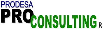 Prodesa CONSULTING